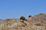 A heart shaped arch in the Alabama Hills.